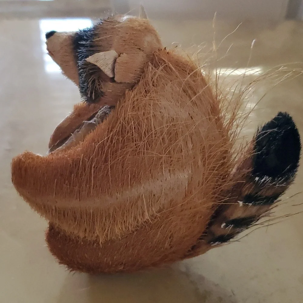 Vintage Raccoon Coconut Vase